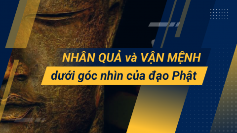 Nhân quả và vận mệnh dưới góc nhìn của đạo Phật